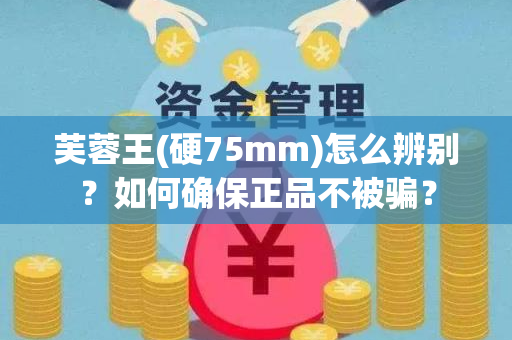 芙蓉王(硬75mm)怎么辨别？如何确保正品不被骗？